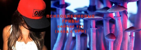 прущие грибы Алзамай