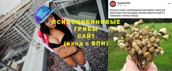 ALPHA PVP Алексин