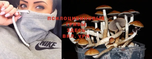 ALPHA PVP Алексин